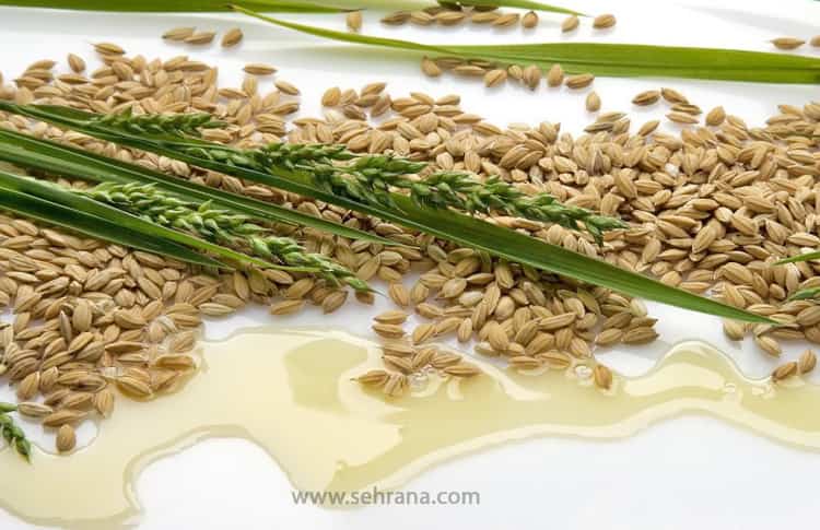 13 مورد از خاصیت های دارویی و درمانی روغن سبوس برنج
