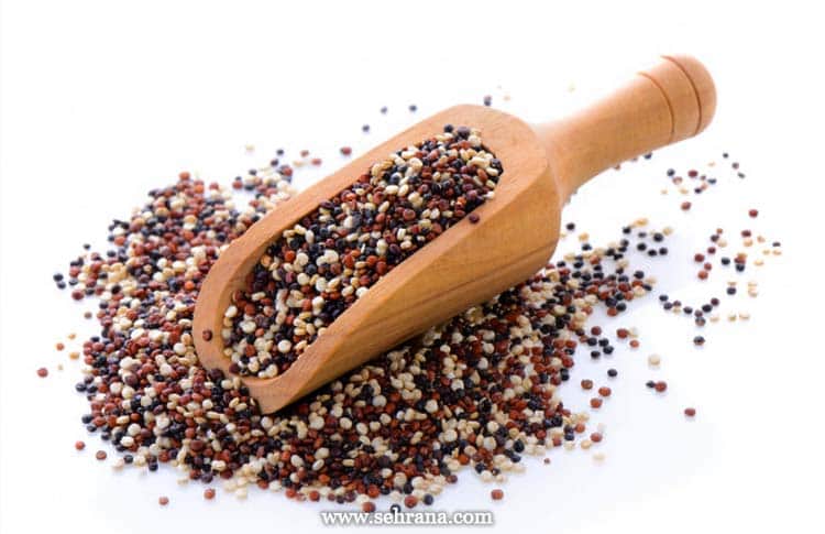 دانه های کینوا Chenopodium quinoa