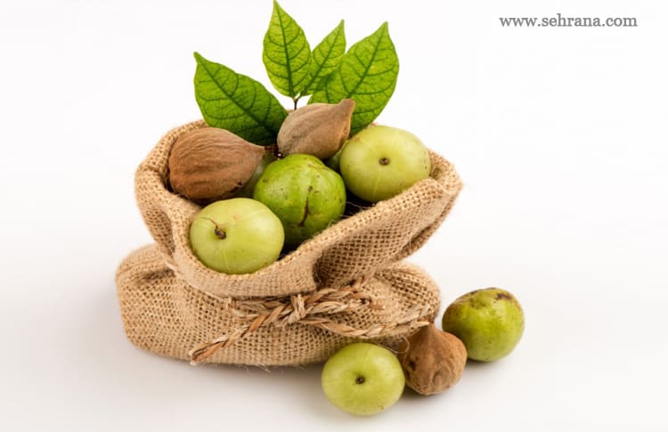 تریفالا Triphala - سحرانا