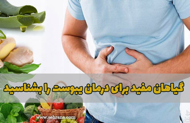 گیاهان مفید برای درمان یبوست را بشناسید