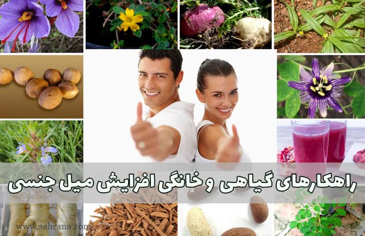 راهکار-افزایش-میل-جنسی