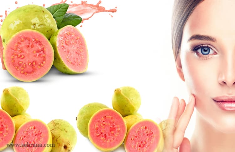 آشنایی با گیاه گواوا - سحرانا