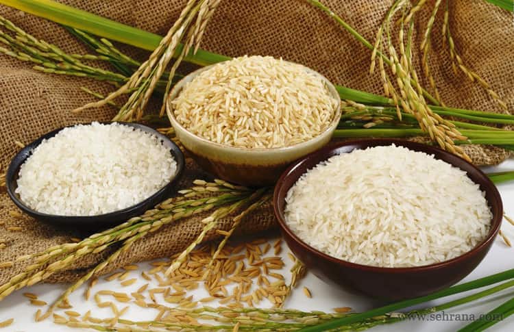 آشنایی با برنج