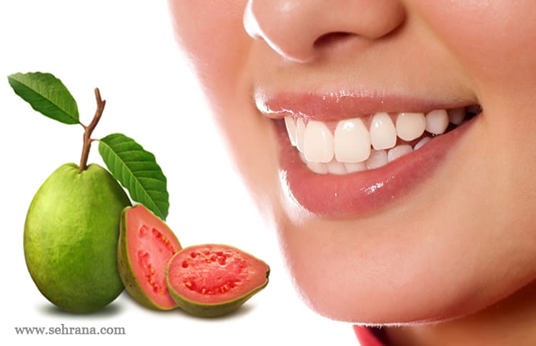 مصرف گواوا برای کاهش درد دندان
