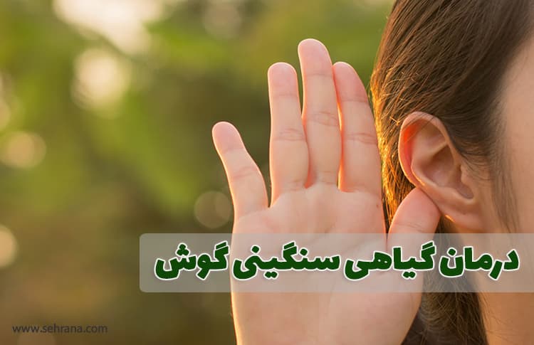 درمان گیاهی سنگینی گوش