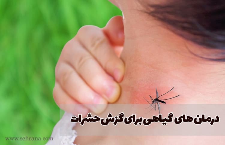 درمان های گیاهی برای گزش حشرات
