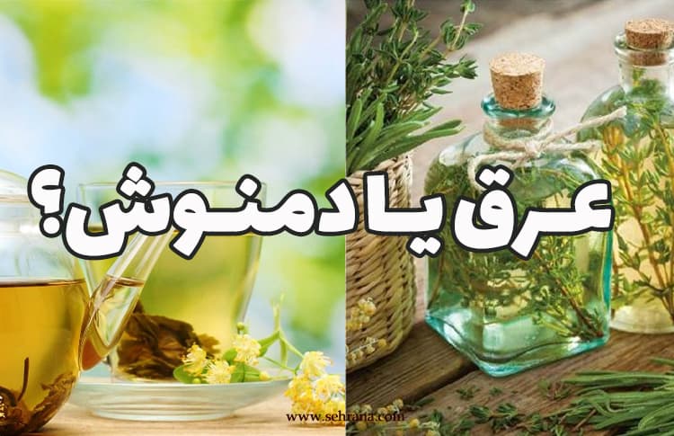 چگونه انتخاب کنیم؟ عرق یا دمنوش