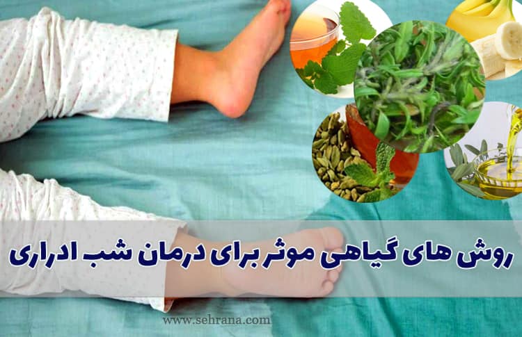 روش های گیاهی موثر برای درمان شب ادراری