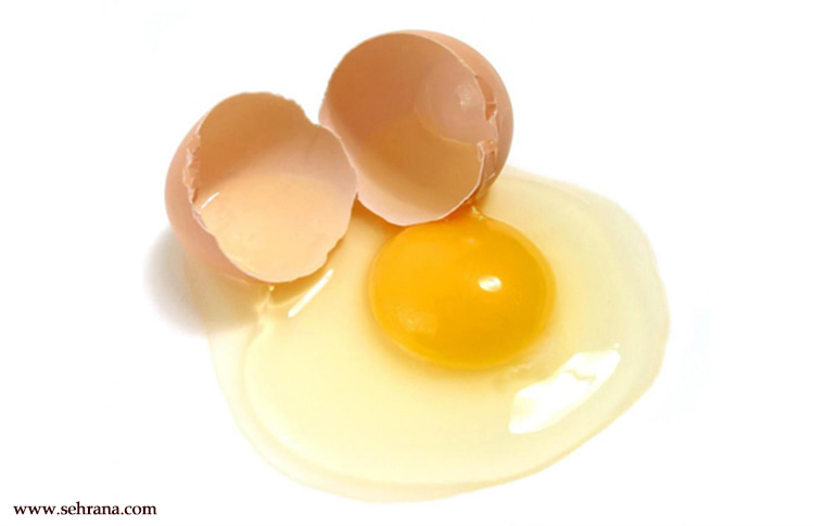 روغن تخم مرغ چیست