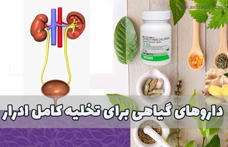 داروی گیاهی برای تخلیه کامل ادرار