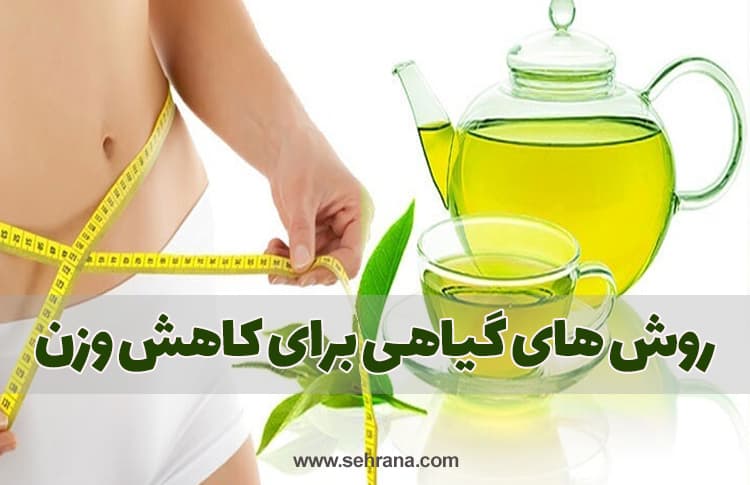 روش های گیاهی برای کاهش وزن