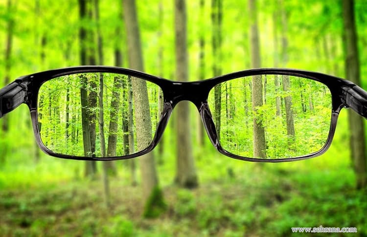 تقویت بینایی با داروهای گیاهی و رفع تاری دید