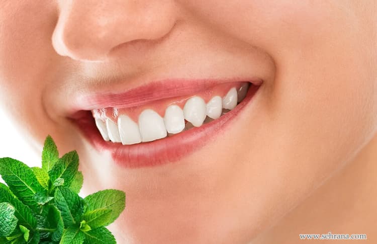 تقویت لثه و دندان با روش های گیاهی و طبیعی