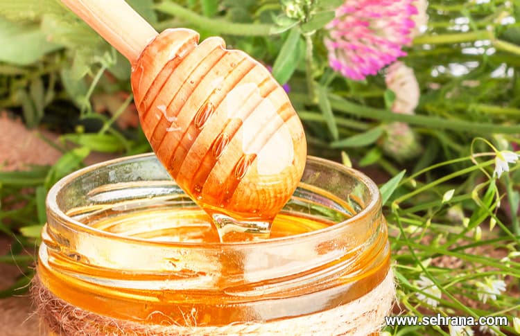 انواع عسل از نظر نحوه تهیه و پردازش