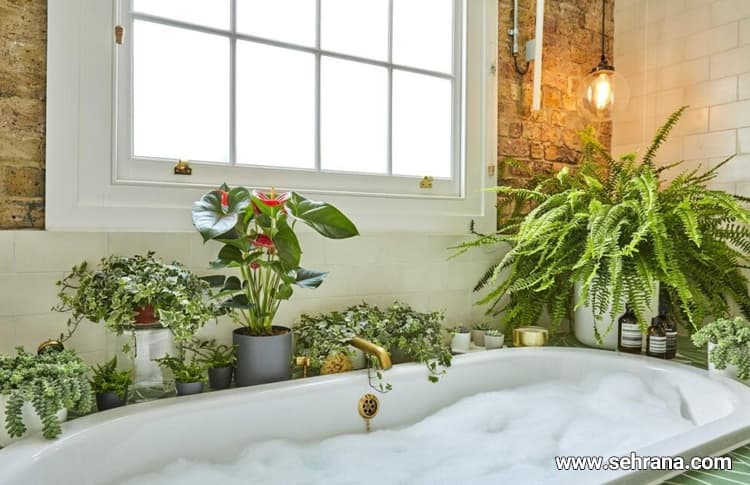 حمام با گیاهان دارویی