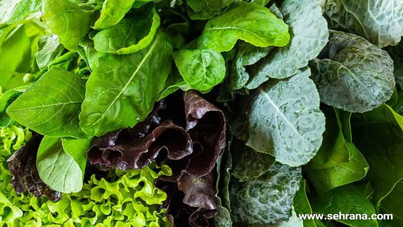 آشنایی با گیاهانی که برگ های خوراکی دارند