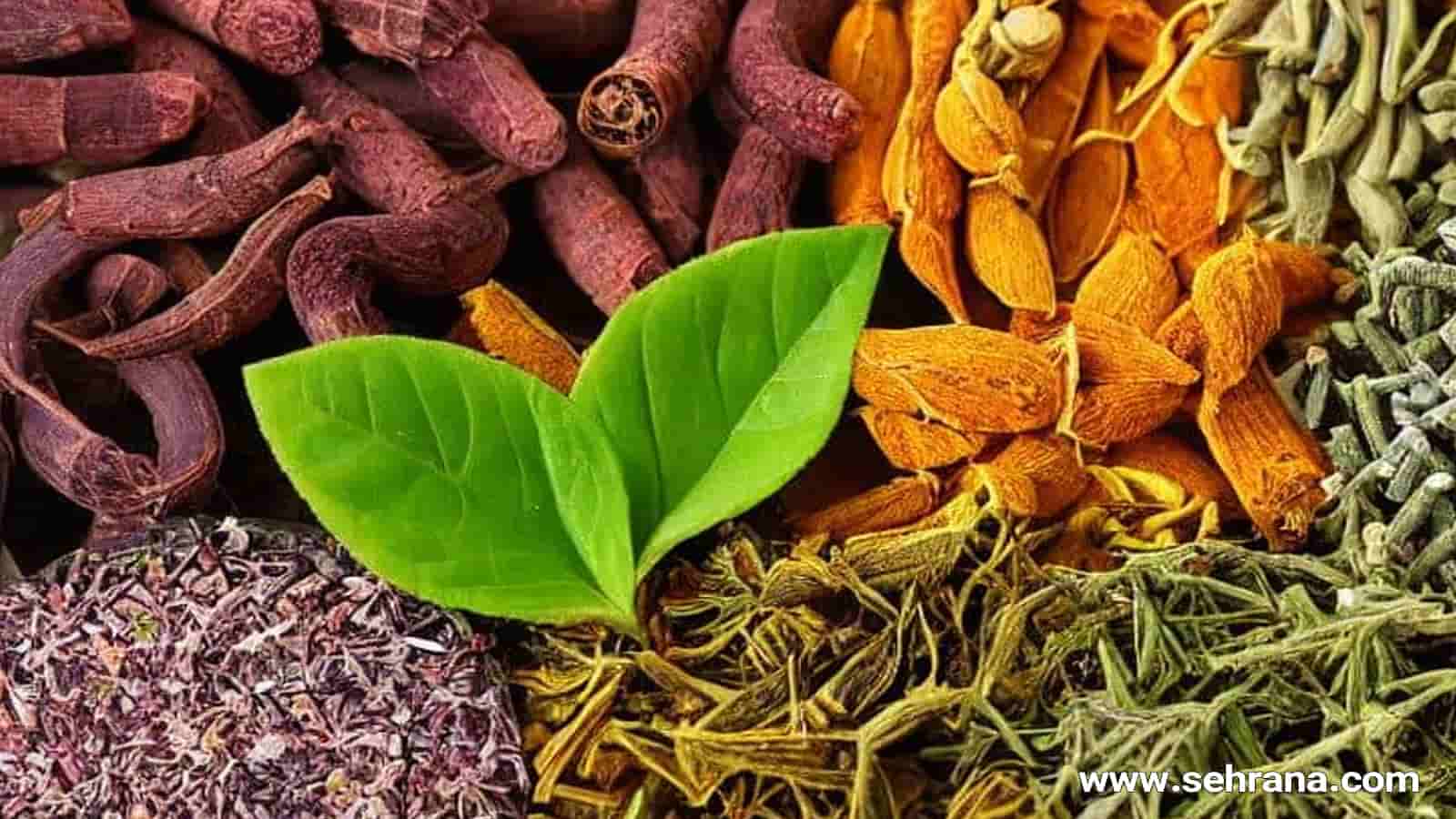 دارو های گیاهی برای سم زدایی بدن