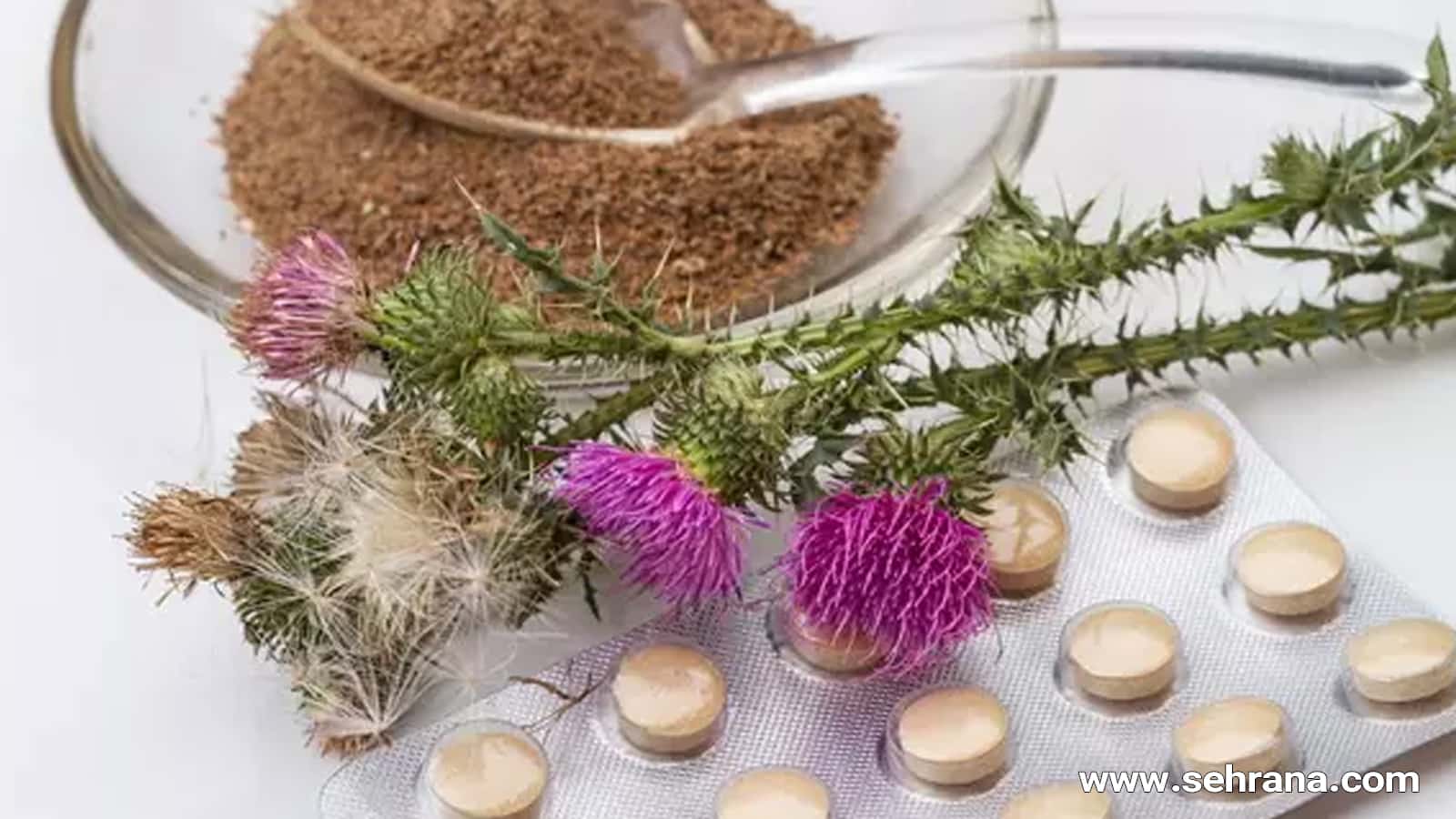 خواص و مضرات قرص خارمریم