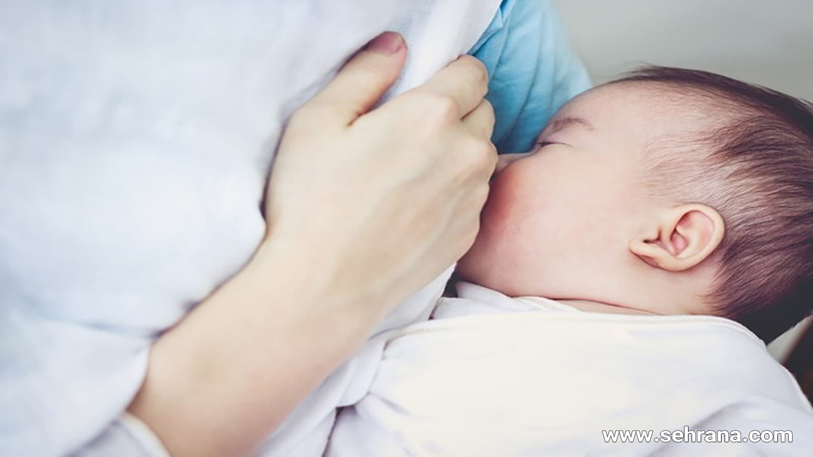 گیاهان دارویی مجاز و غیر مجاز در دوران شیردهی
