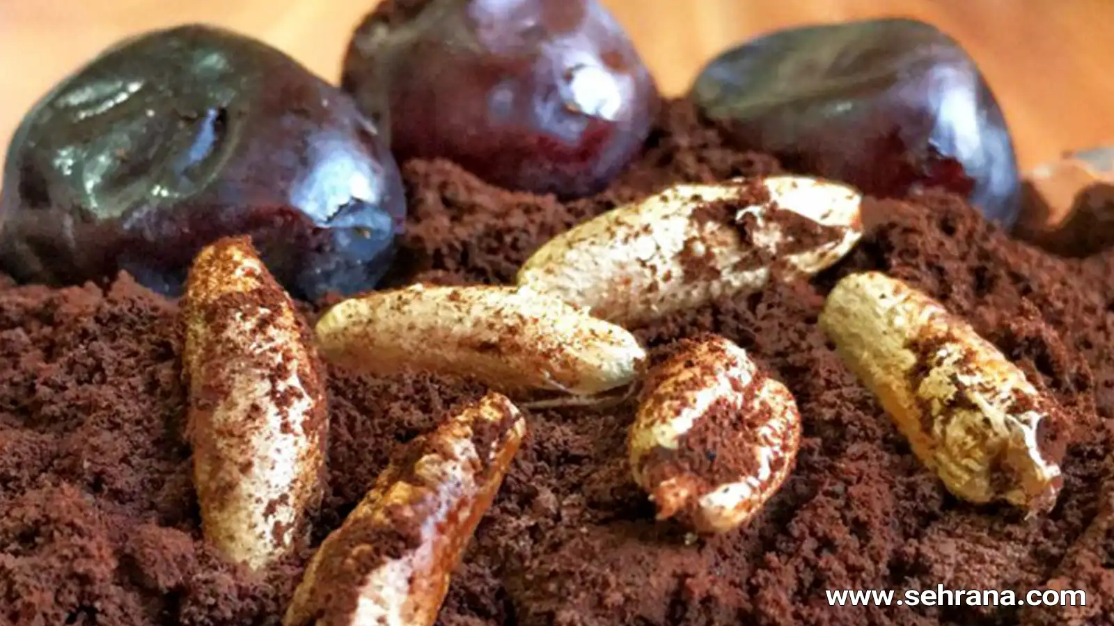 آشنایی با قهوه هسته خرما