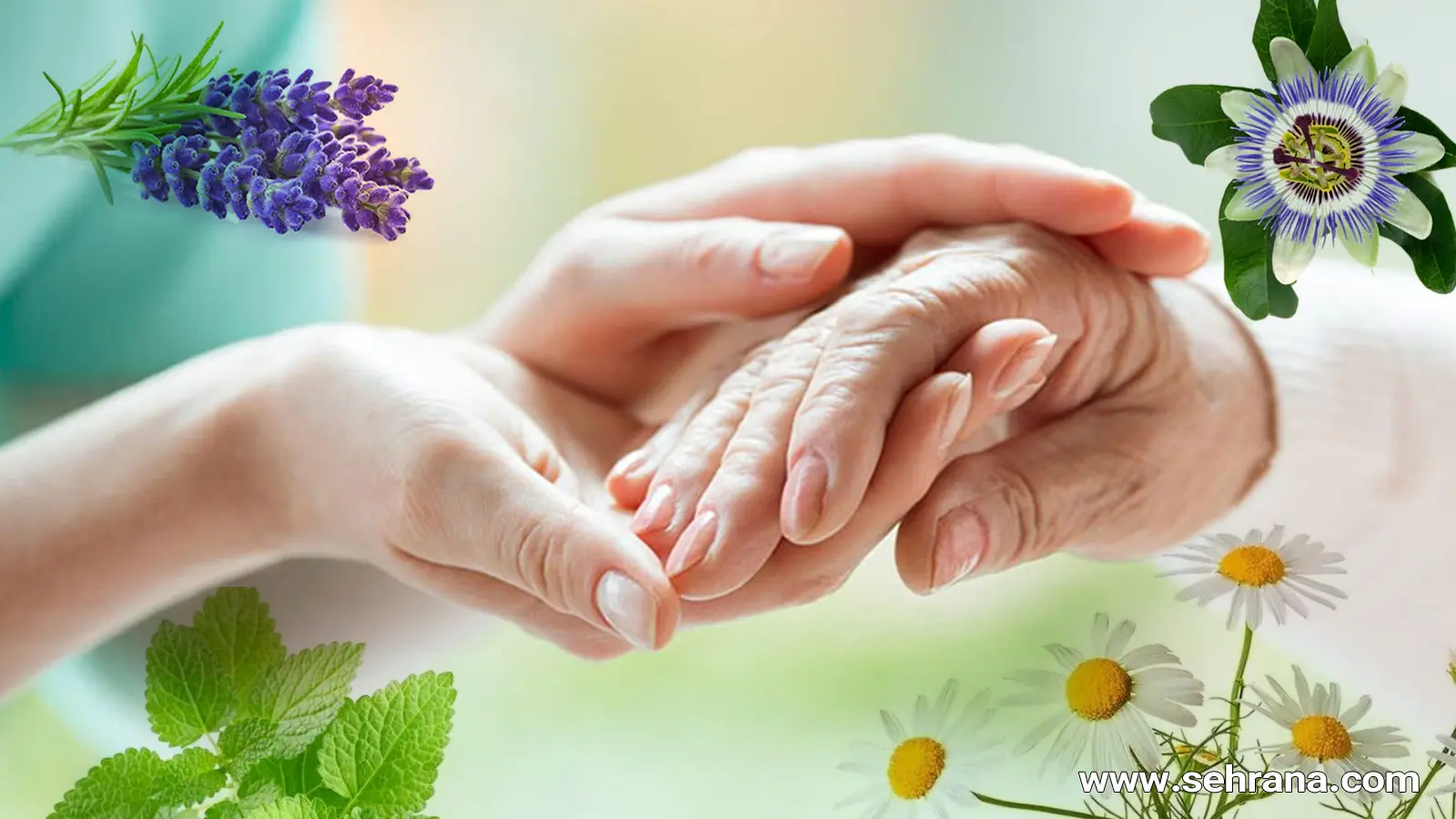 چند نسخه گیاهی برای درمان رعشه