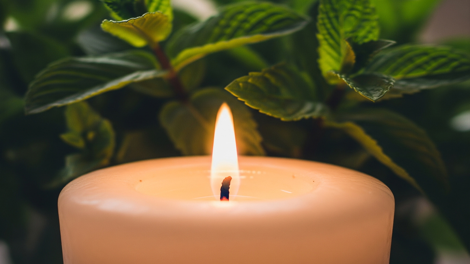 شمع معطر با رایحه نعناع؛ طراوت طبیعت در خانه شما