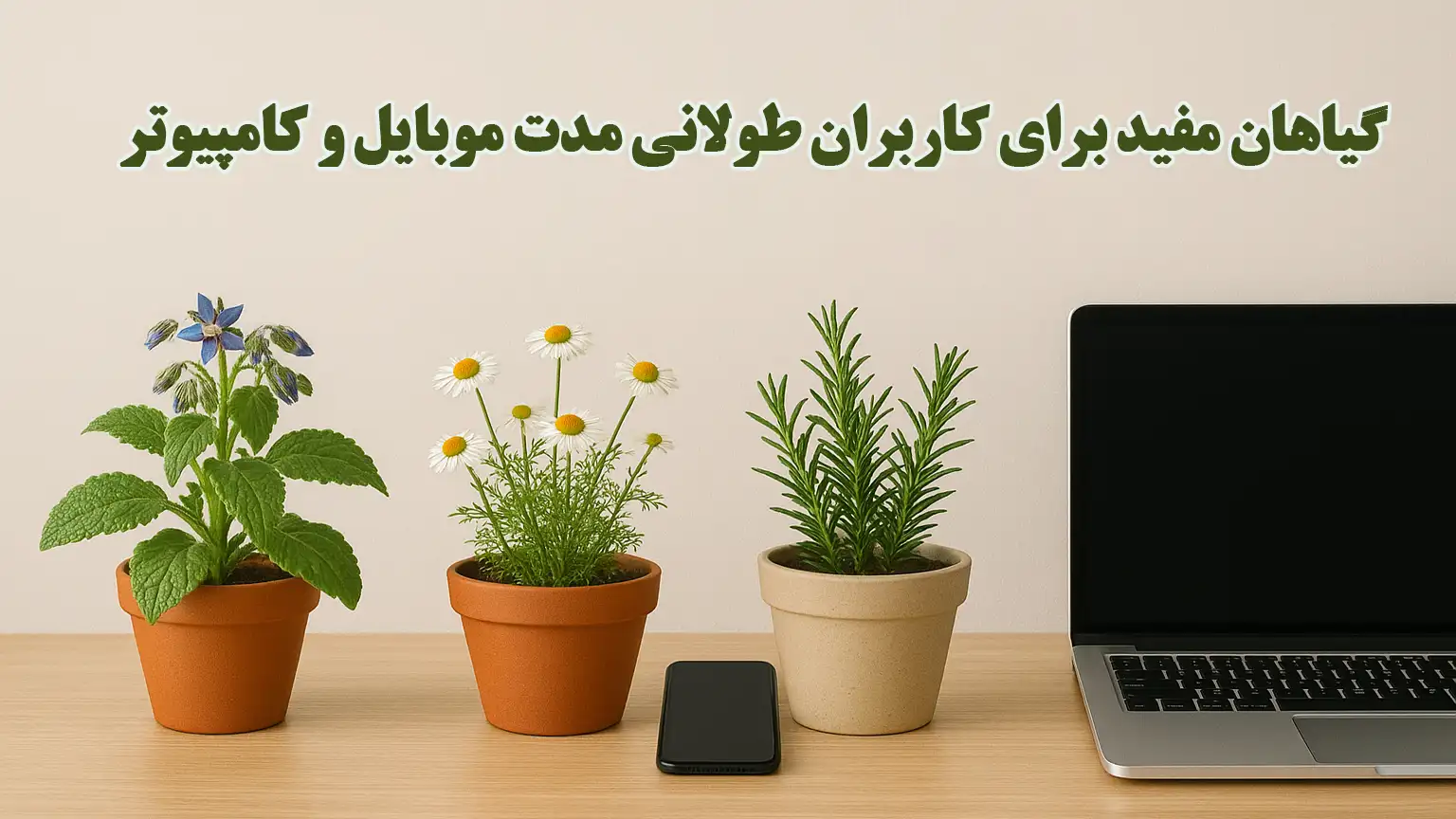 گیاهان مفید برای کاربران طولانی مدت موبایل و کامپیوتر